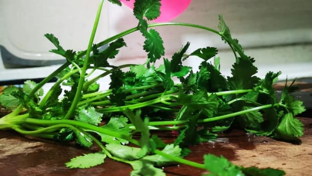 回南天能让空气多潮湿？干瘪香菜放砧板竟“回春”