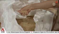 Oversupply, low prices driving South Korean rice farmers to switch crops, explore new markets 