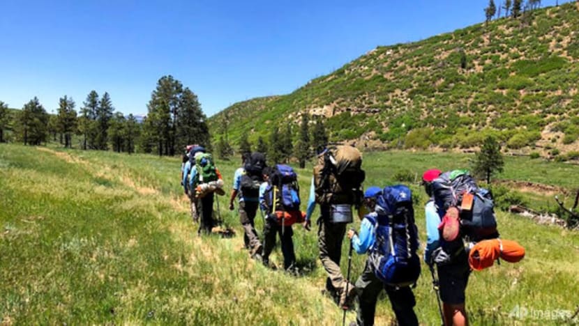 Boy Scouts, Girl Scouts suffer huge declines in membership