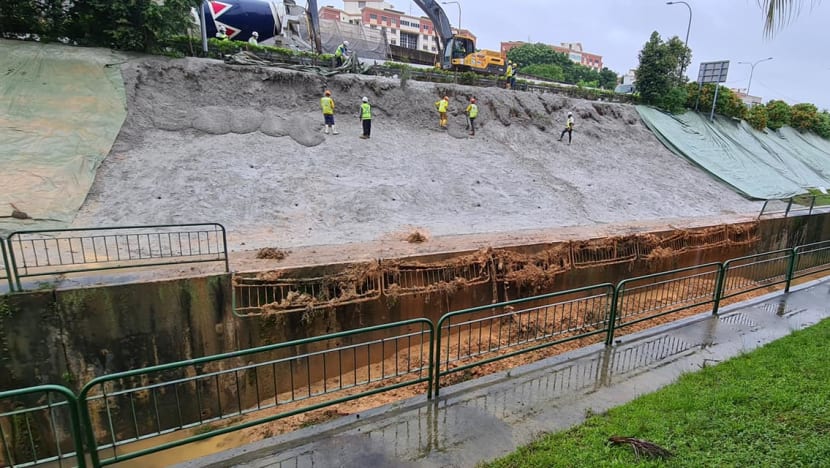 Torrential rainfall over weekend erodes slope in Pasir Ris, causes tree collapse at Fort Canning
