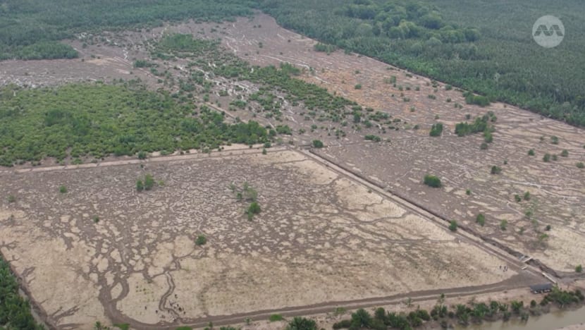 Fighting climate change: Over 15ha of mangroves planted in Indonesia under Temasek Foundation’s efforts Fighting climate change: Over 15ha of mangroves planted in Indonesia under Temasek Foundation’s efforts