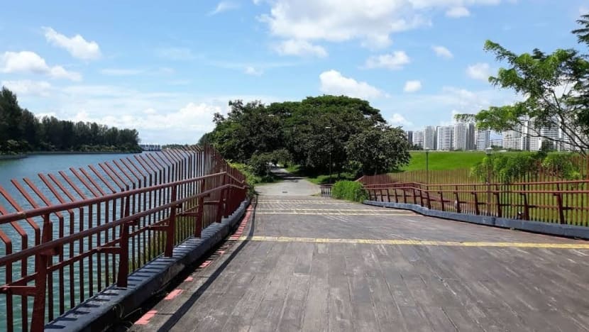 Area along Punggol Promenade Nature Walk cordoned off after cyclist injured in wild boar incident