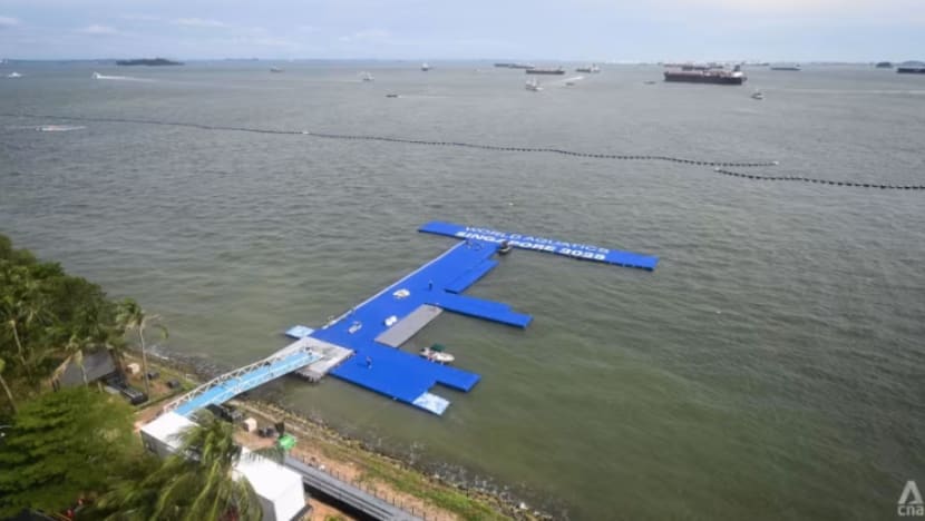 Bakteria E.coli punca acara renang Kejohanan Akuatik Dunia di Sentosa ditangguh