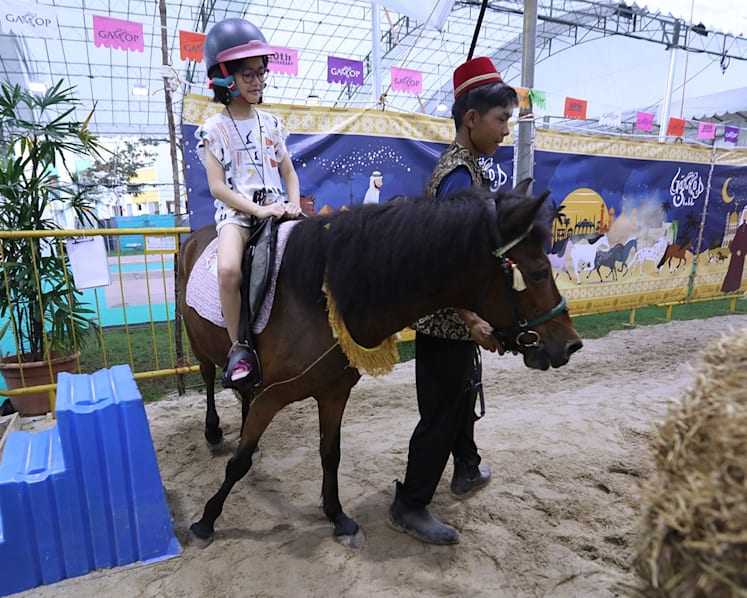AVS looking into complaint over pony rides at Geylang Serai Ramadan bazaar; operator says it's complying with rules