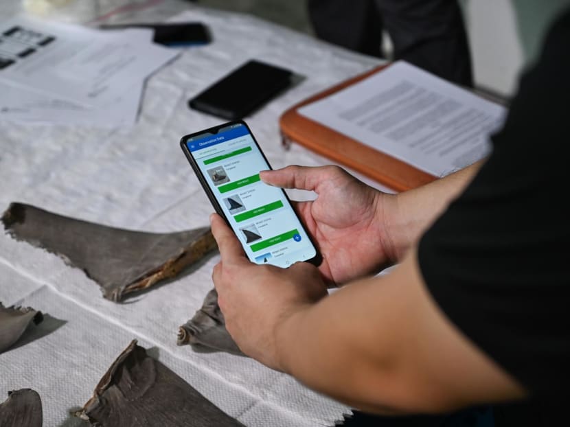 The Fin Finder app will allow officers from National Parks Board to identify suspicious shark and ray fins so that they can be sent for further DNA testing.