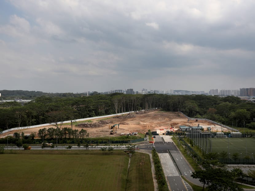 Aerial view on Feb 17, 2021, of a forest parcel in Kranji that JTC said its contractor had “erroneously” begun deforesting. Aerial view on Feb 17, 2021, of a forest parcel in Kranji that JTC said its contractor had “erroneously” begun deforesting.