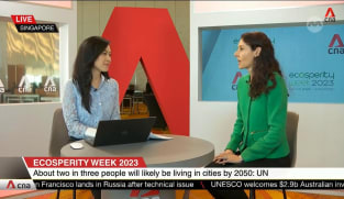 Creating human capital to address risks in cities is essential: Analyst