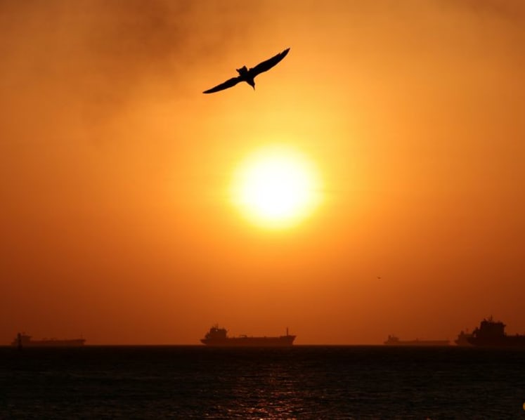 South Korea refiners considering imports of Venezuelan crude, association says 