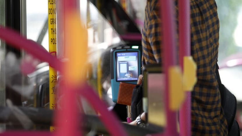 ‘A long time coming’: No more adult transport fares for polytechnic students, who look forward to student rates