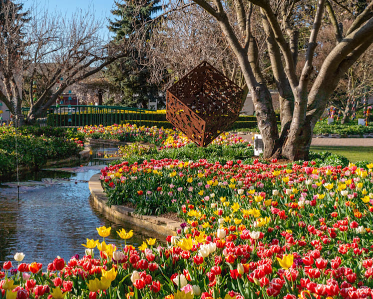 Snow, sea and springtime blooms in Sydney and New South Wales