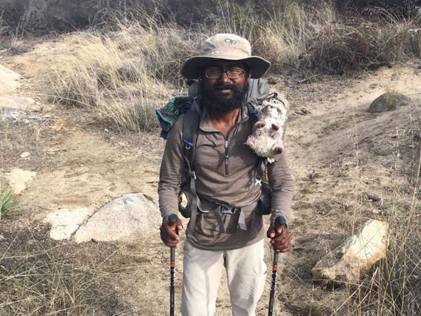 Singaporean conquers 4,280km Pacific-Crest Trail for charity