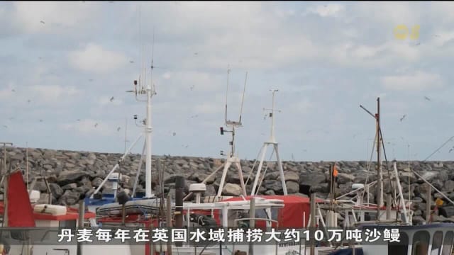 英国捕捞沙鳗禁令引不满 丹麦渔民向欧盟投诉