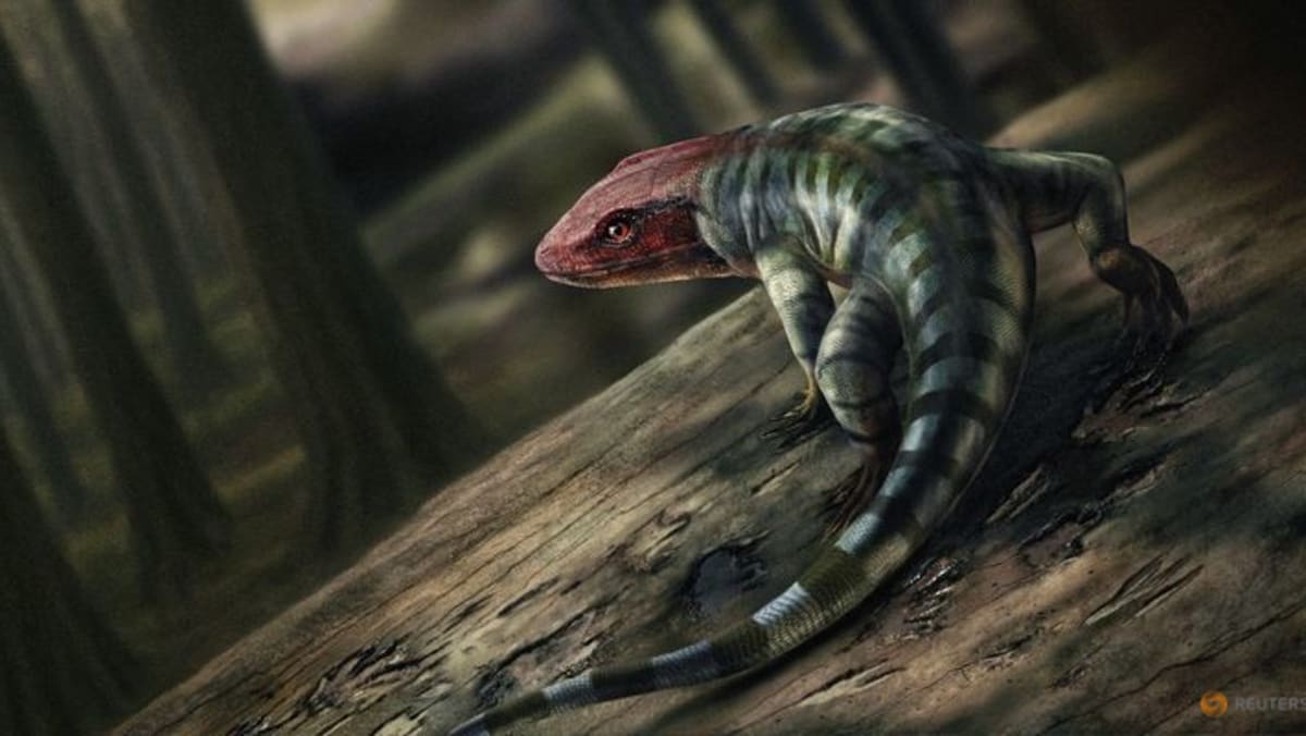 Ancient footprints from Australia reveal earliest-known reptile - Channel News Asia (Picture 1)