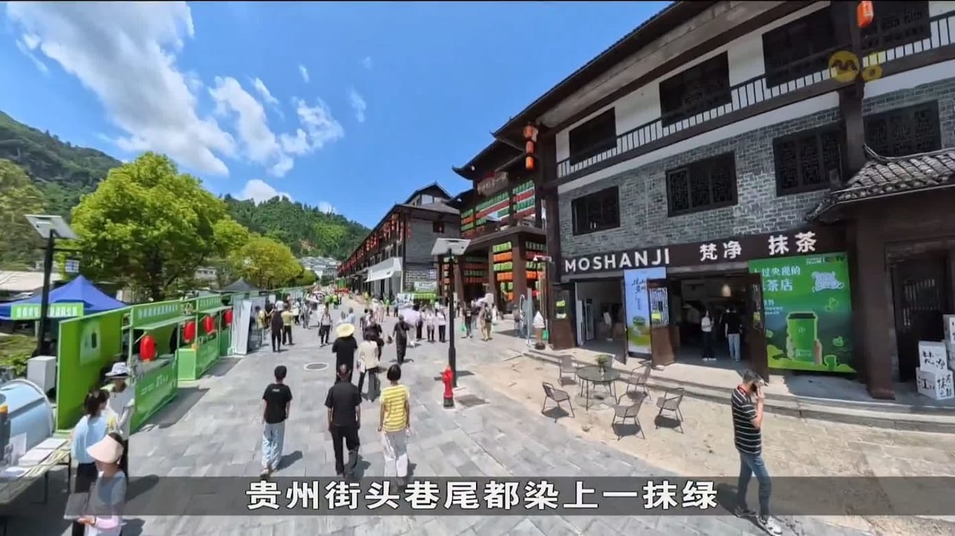 中国加速抹茶产业发展 盼其成为促进地方经济新动力