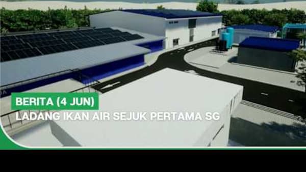 BERITA (4 Jun) | Ladang ikan air sejuk pertama SG