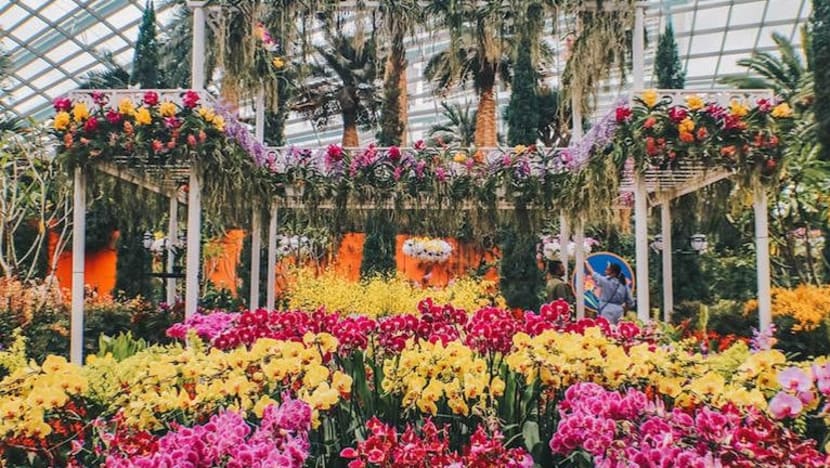 Related article image