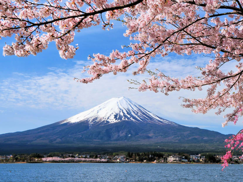 Scoot Will Soon Fly Direct To Tokyo & Relaunch Osaka Flights; Tix From $263 One Way