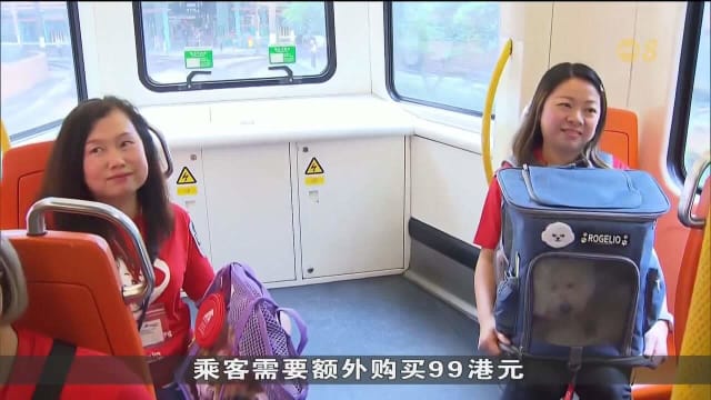 香港试行计划 让毛小孩随主人同行搭乘轻铁