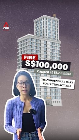 Why is Singapore's transboundary haze law so difficult to enforce?