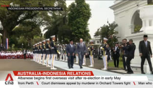 Australia PM Albanese meets Indonesian counterpart to discuss defence cooperation and trade