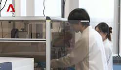 Bioeconomy sector: New S$118m initiative to fund industry initiatives over 5 years 