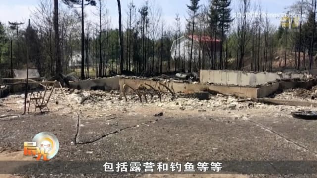 加拿大野火持续燃烧几星期 当局禁止民众在森林进行活动