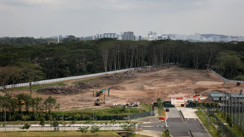 JTC officer and former supervisor fined S$30,000 each for causing illegal clearing of Kranji woodland