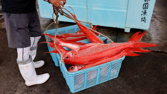 日媒：中国已通知日本 暂停进口日本水产品