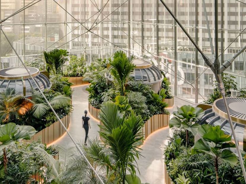 This refurbished space in Orchard Road is basically an office set in a garden