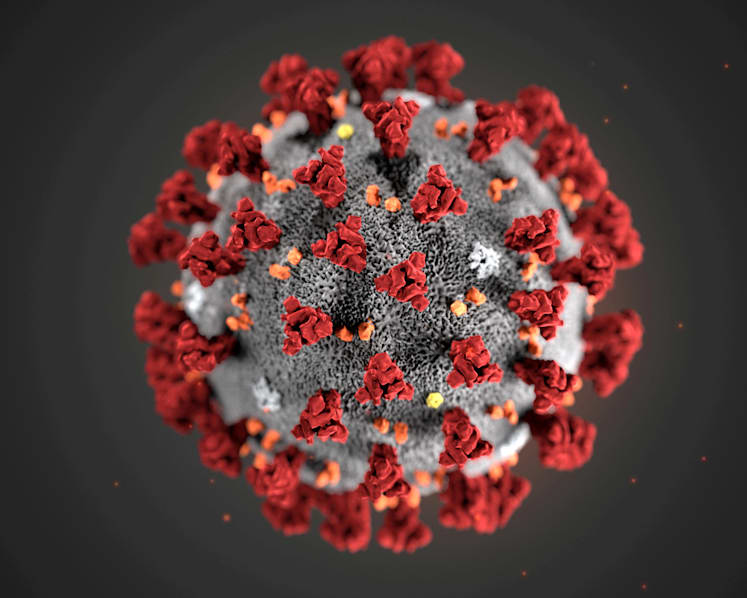 Five concepts from the study of diseases you should know in the fight against Covid-19