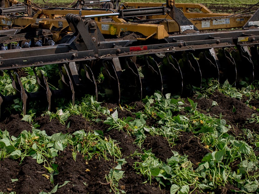 The Big Read in short: What the global supply chain shock means for S’pore consumers