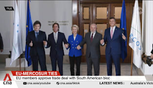 EU-Mercosur ties: EU members approve trade deal with South American bloc 