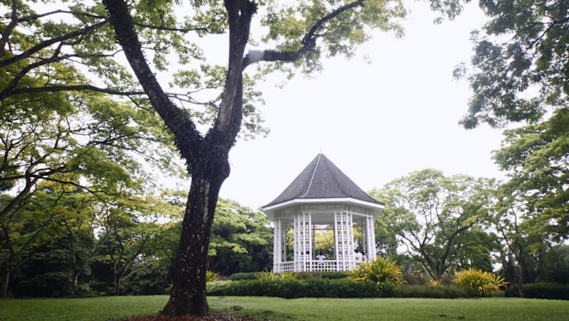 NParks to study effects of exercise, green spaces