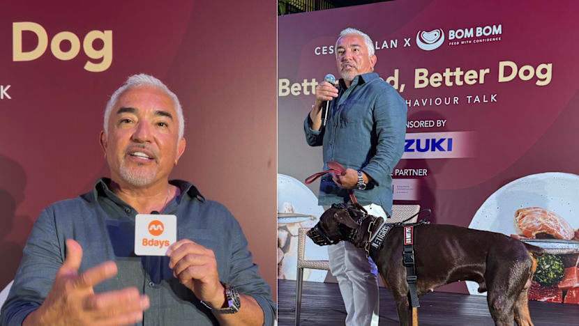 Cesar Millan Responds To S'pore Petition To Drop Him From Pet Festival: "People Don't Understand What I'm Doing"
