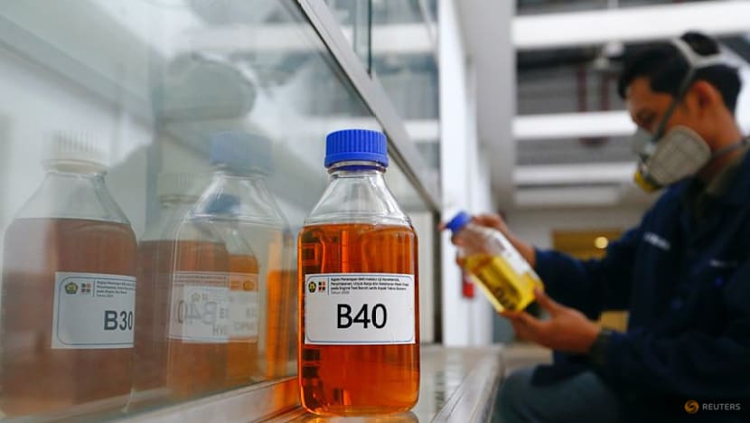 Indonesia regrets EU's move to appeal on WTO biodiesel ruling 