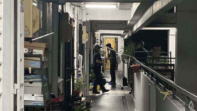 Woman, 30, found dead at Dover Road flat