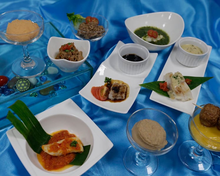 Texture-modified meals developed for patients with swallowing difficulties