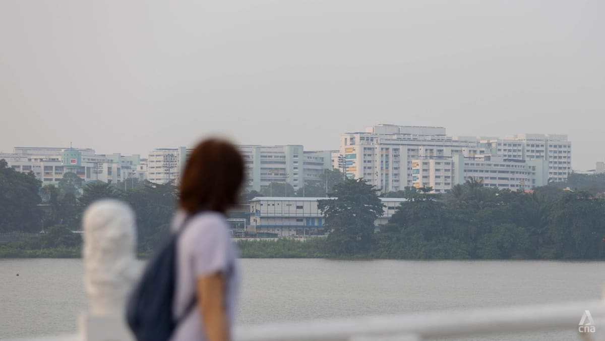 Singapore air quality improves to moderate range after unhealthy readings