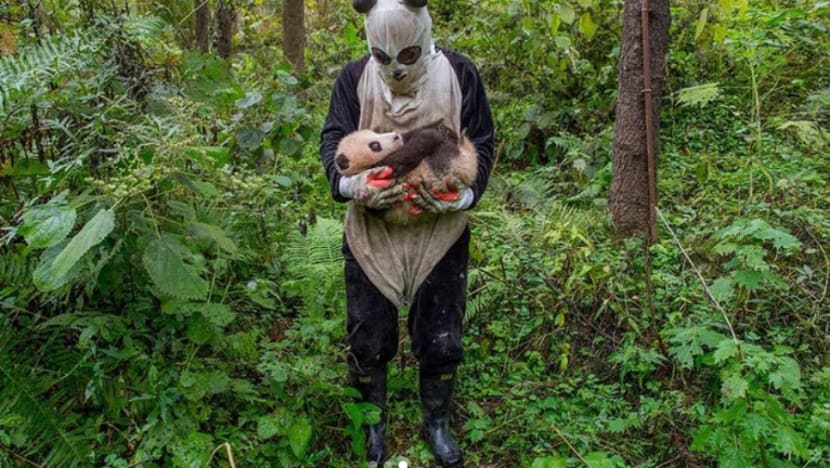 Gambar Pilihan Hari Ini