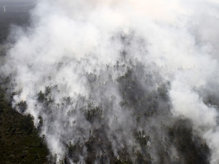 Confusion clouds regional cooperation to fight haze