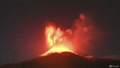 Related article image