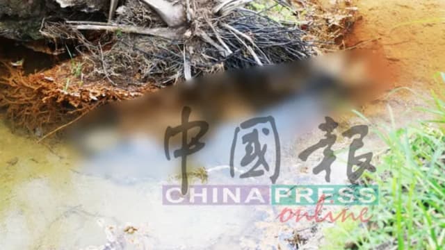 马国火龙果园主被捆弃尸河溪 四缅甸男子落网