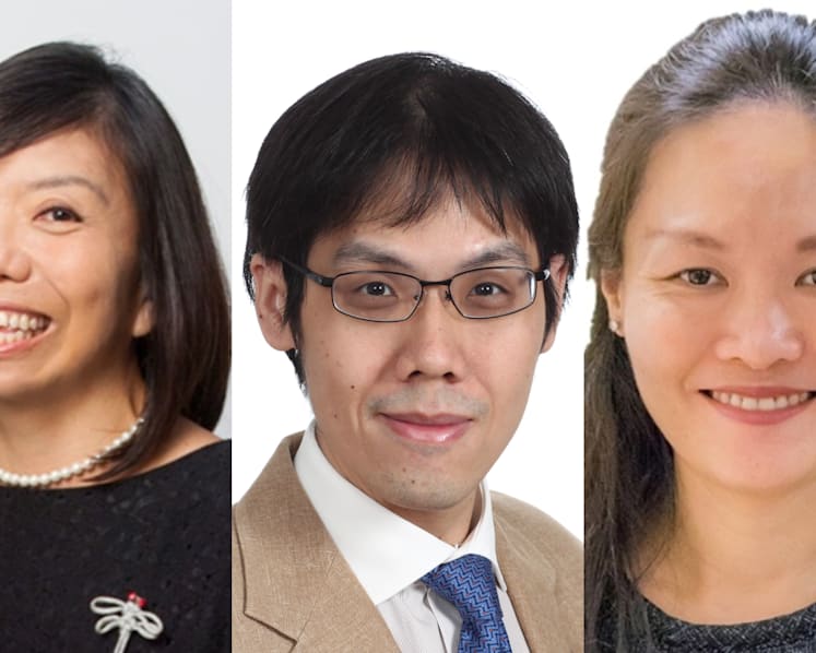 NMPs propose amendments to draft fake news laws
