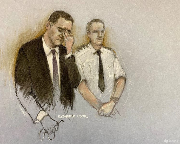 Man who drove into crowd at Liverpool football parade pleads guilty to 31 charges