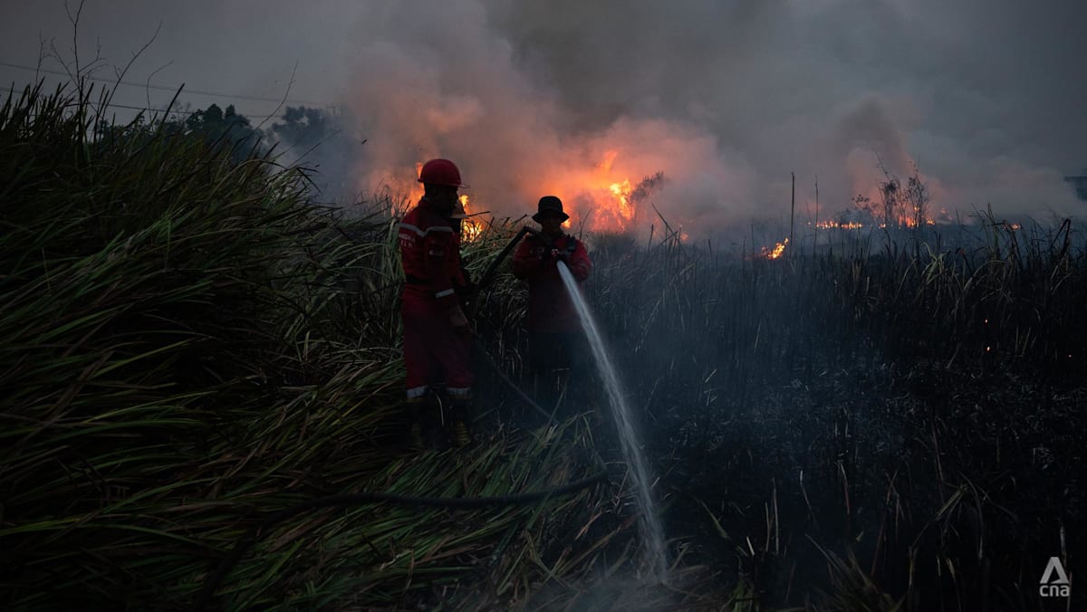 Prabowo Orders Intensified Firefighting in Central Kalimantan, South Sumatra