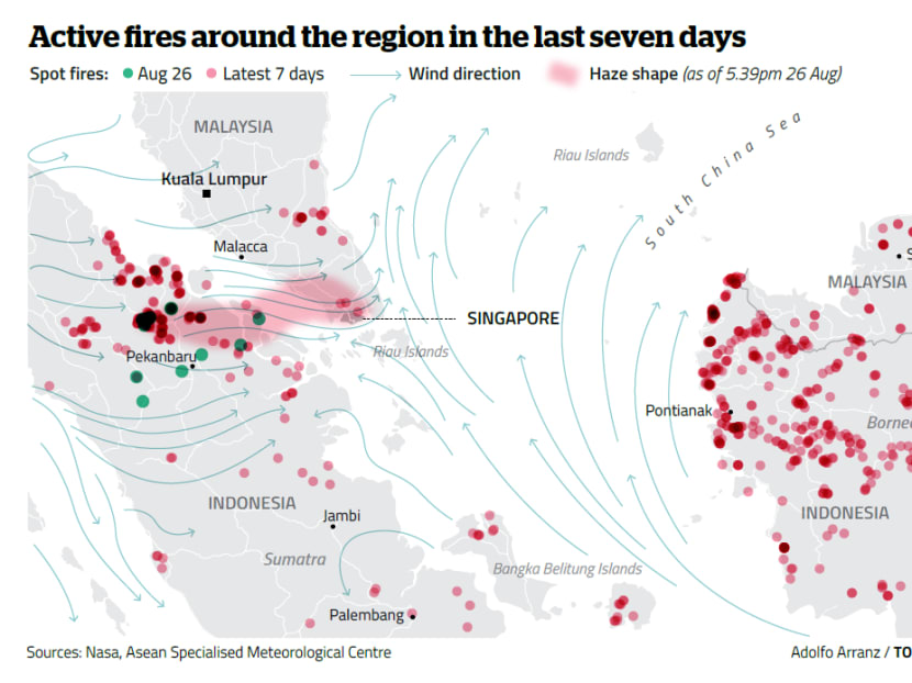 Vivid 'noticeable' Burning Smell Could Be From Hotspots North Of Singapore, Says Nea Capture Art