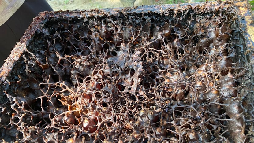 Related article image