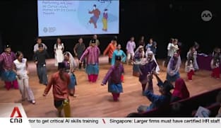 UNESCO Intangible Cultural Heritage: S'pore joins 3 countries to nominate traditional art form zapin 