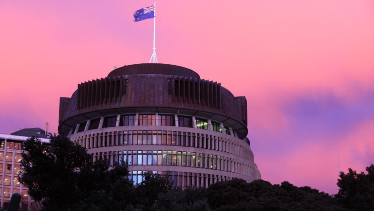 New Zealand minister quits after putting hand on staffer's arm