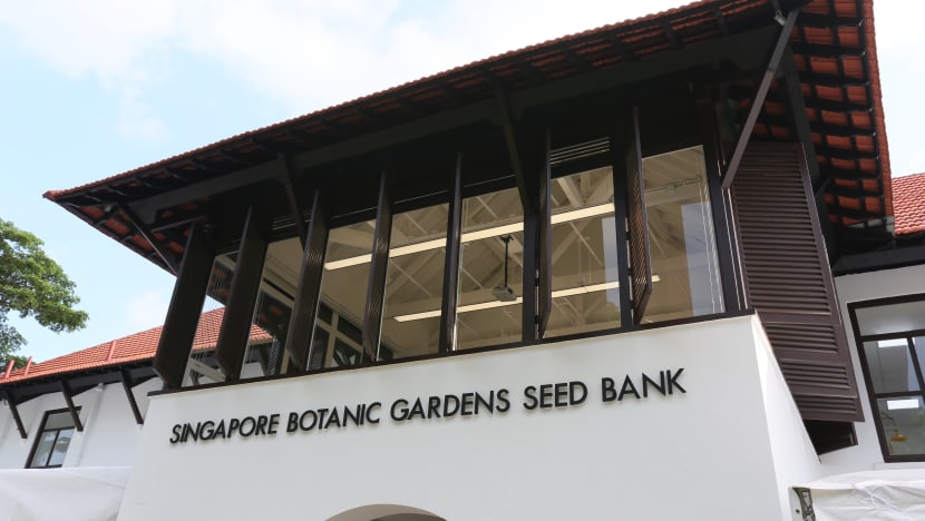 Singapore opens first seed bank to protect regional plant diversity against climate change